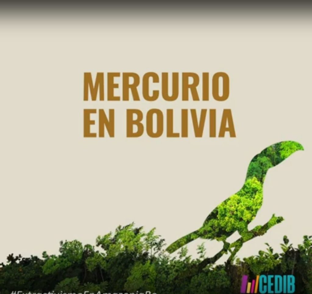 Titular de video Mercurio en Bolivia