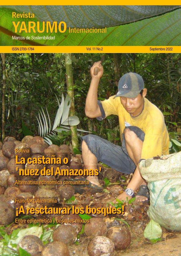 Revista YARUMO Internacional Vol 11 No.2