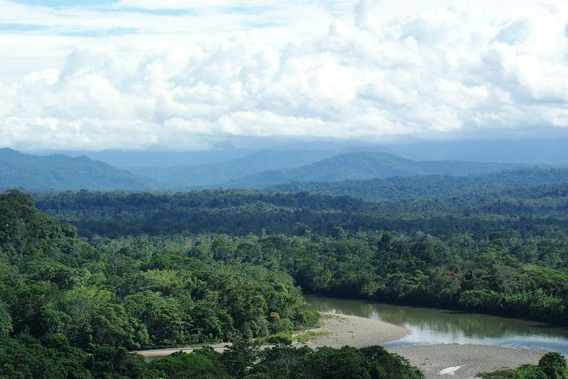 Amazonas ecuatoriano