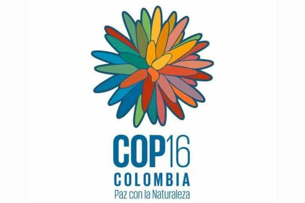 Logo COP 16