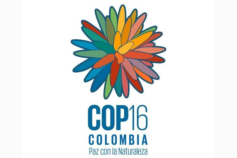 COP16_logo5